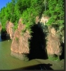 PICTURES/New Brunswick - Hopewell Rocks/t_hilowcombo.jpg